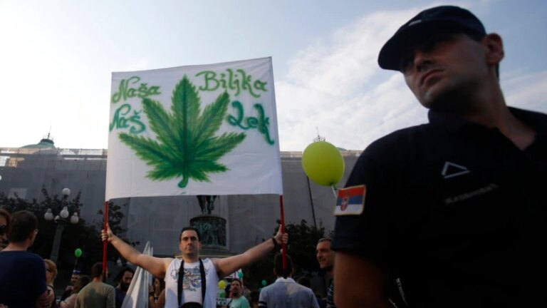 Life’s A Drag: Serbia’s Jailed Medical-Marijuana Users Seize On Double Standard For Reputed Kingpin